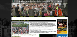 gamefair_mini